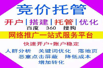 专业SEM服务托管方案案例分析
